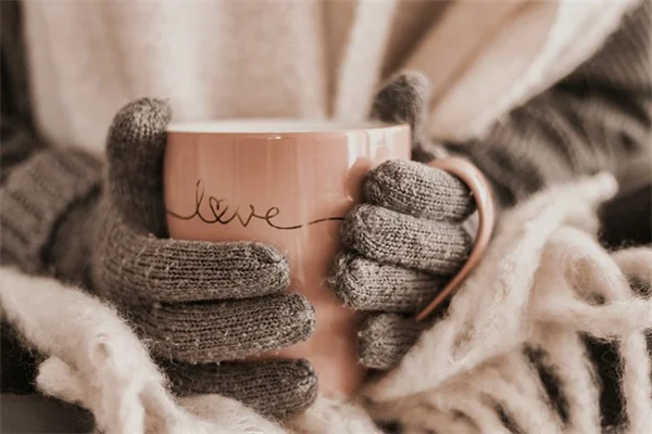 キノコ栽培の原木の選び方、10年経験者が教えます