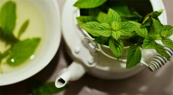 雑草はドライバーで根こそぎ抜く！お酢より確実な除草方法