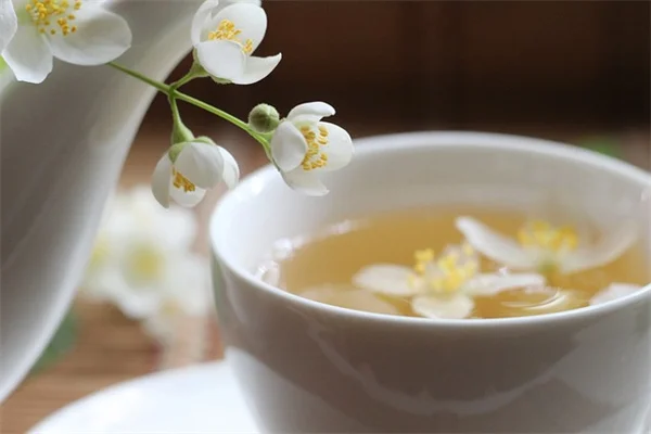 雑草はドライバーで根こそぎ抜く！お酢より確実な除草方法
